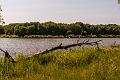 2015_06_06 (0019)